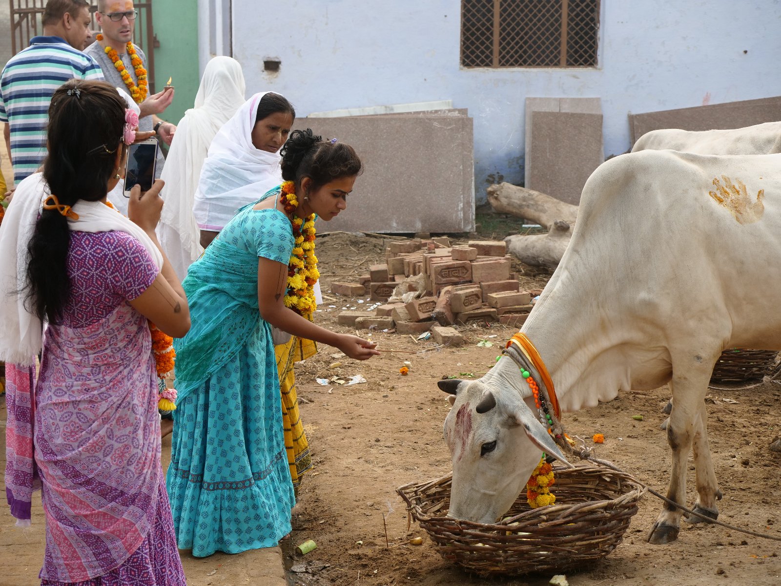  140 Gopashtami Radha kunda Govardhan 19.11.04